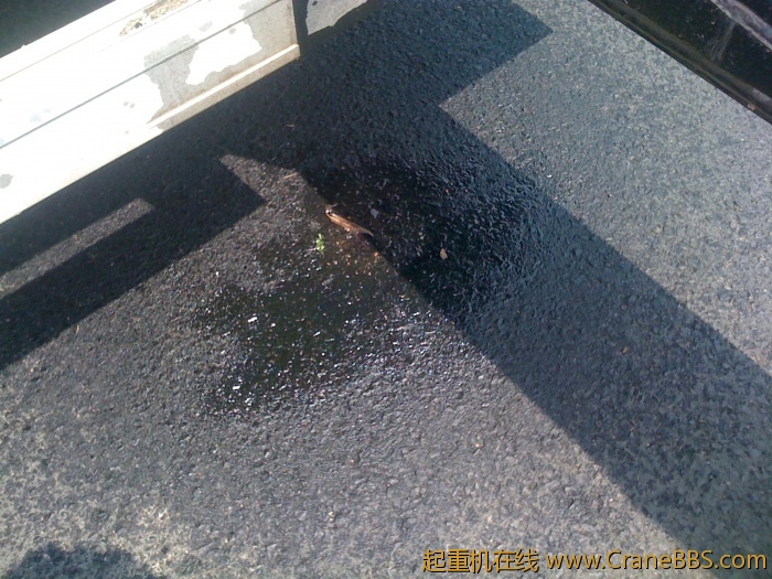 手机照片 3641.jpg