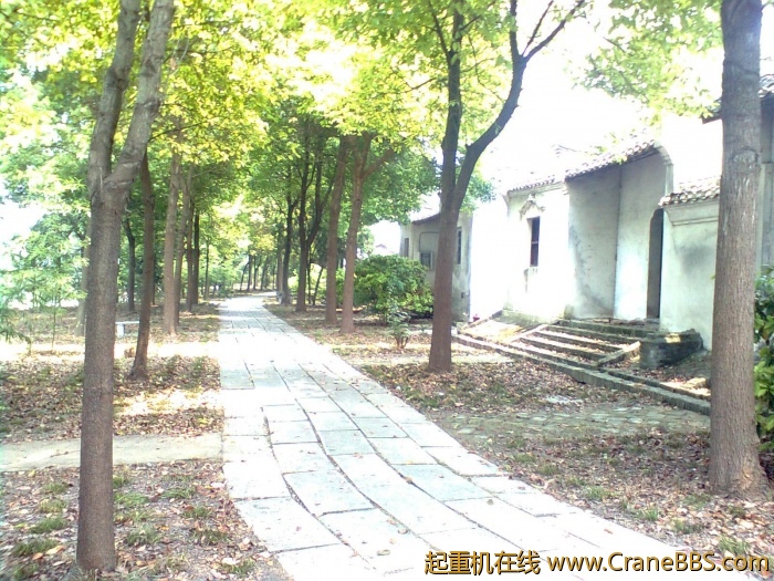 图像0455.jpg