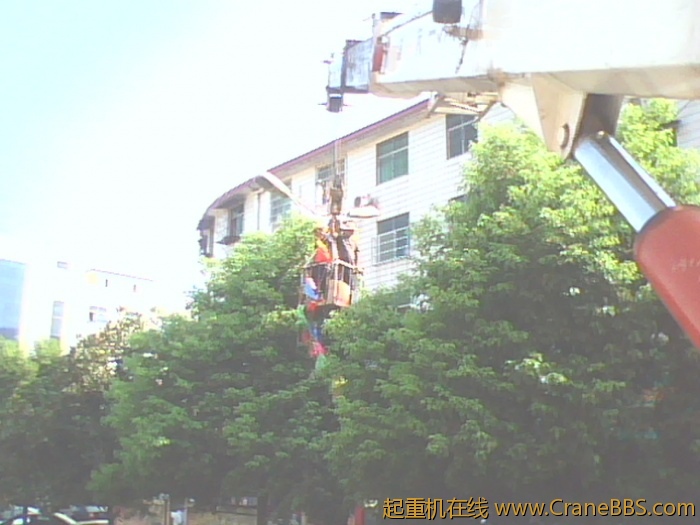 IMG0802A.jpg