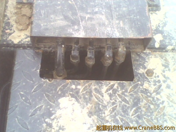 IMG0453A.jpg