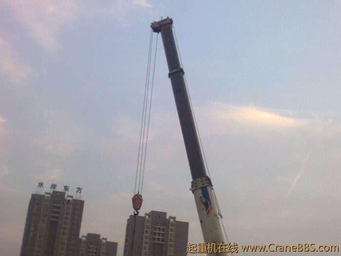 臂太少了，感觉