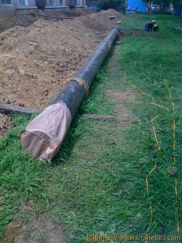 手机照片 3917.jpg