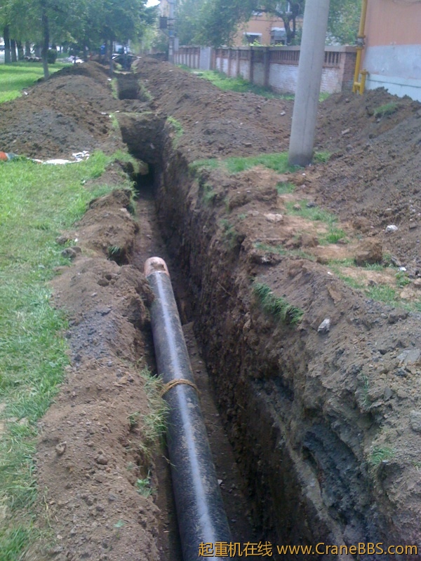 手机照片 3912.jpg