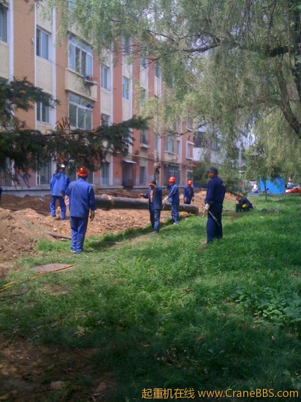 手机照片 3914.jpg