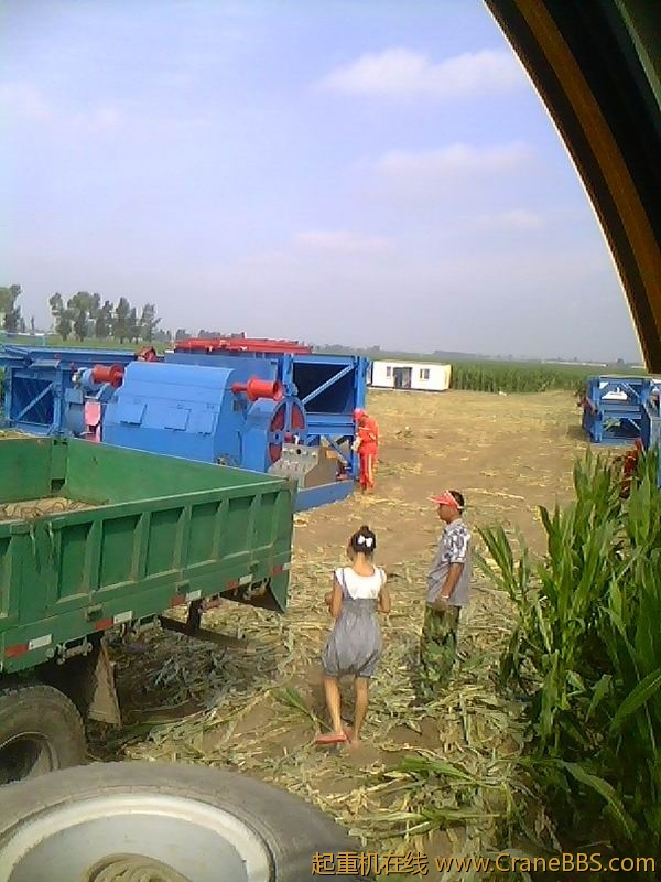 IMG1125A.jpg