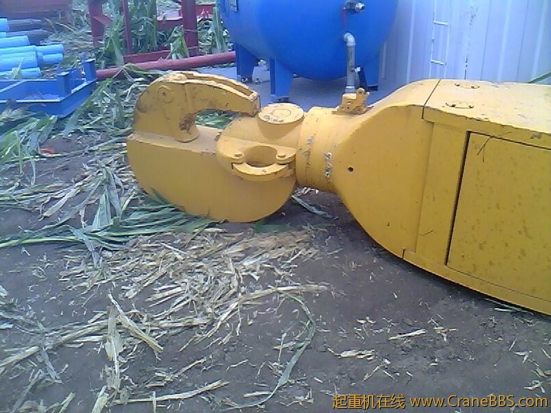 IMG1169A.jpg
