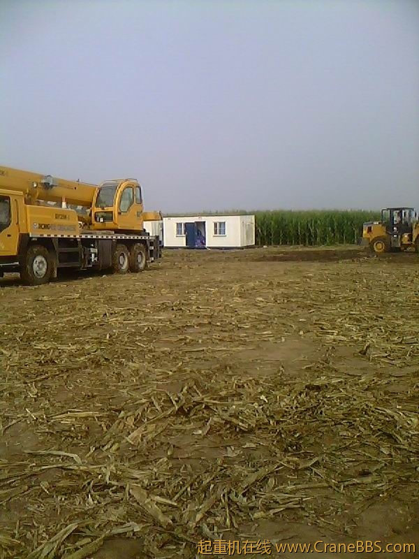 IMG1186A.jpg