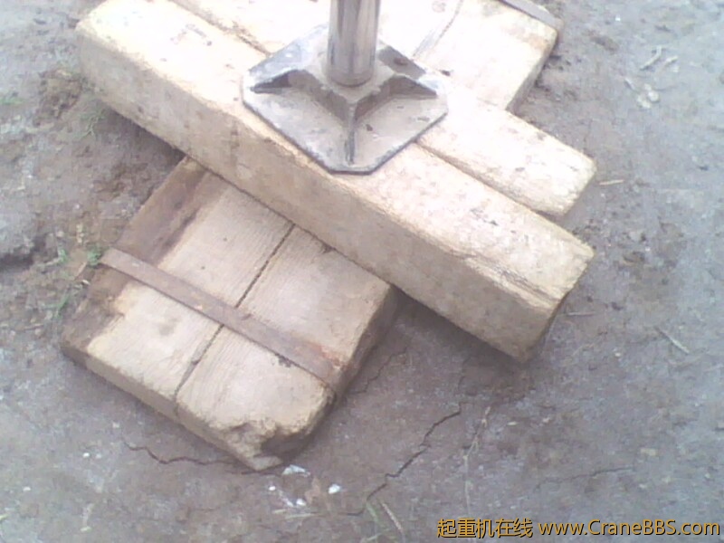 IMG0464A.jpg