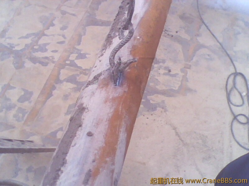 IMG0474A.jpg