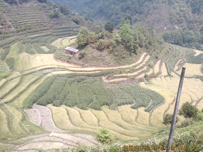 照片-0017.jpg