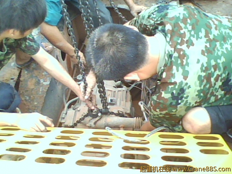 IMG0843A.jpg