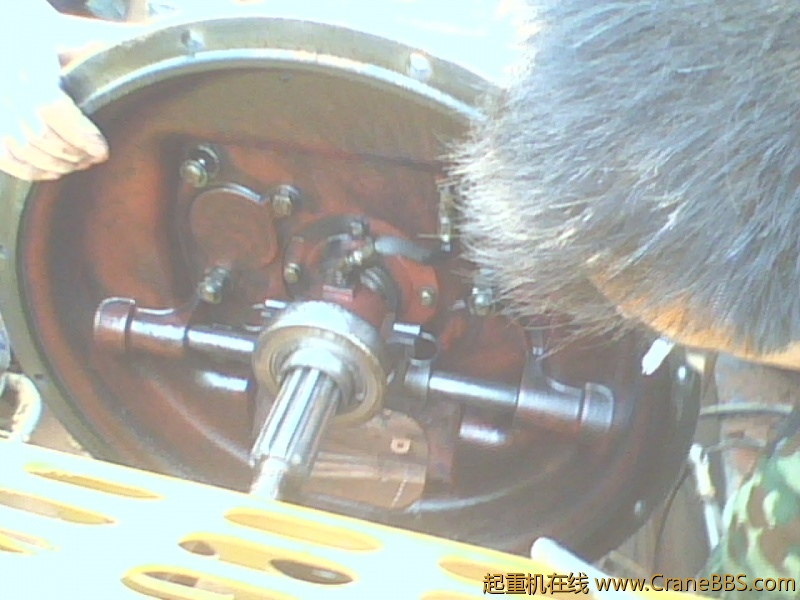 IMG0845A.jpg