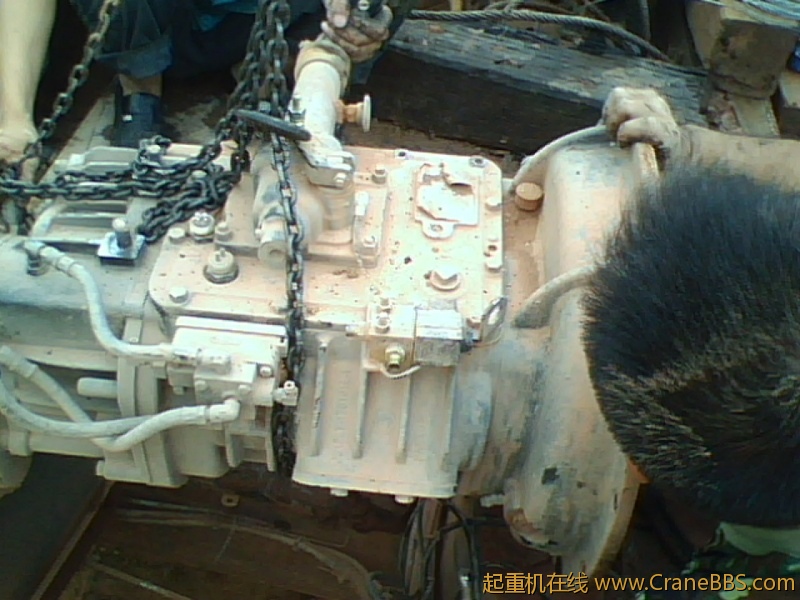 IMG0846A.jpg