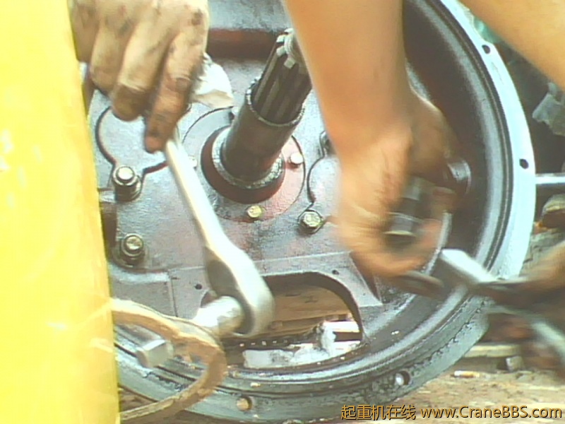 IMG0849A.jpg