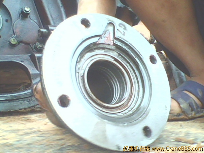 IMG0852A.jpg