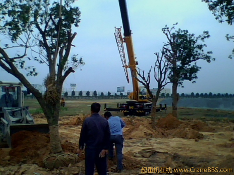 IMG1068A.jpg