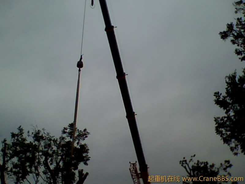 IMG1069A.jpg