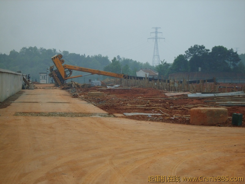 S8000055.JPG