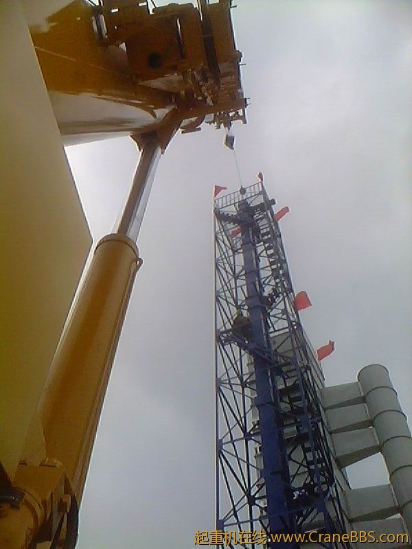 IMG1645A.jpg