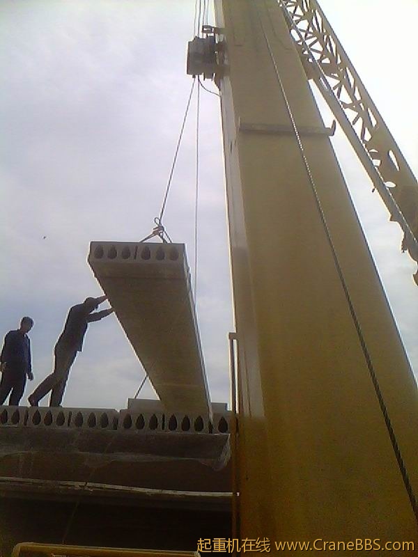 IMG1589A.jpg