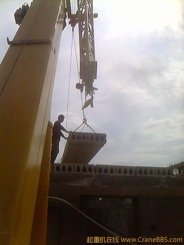 IMG1595A.jpg