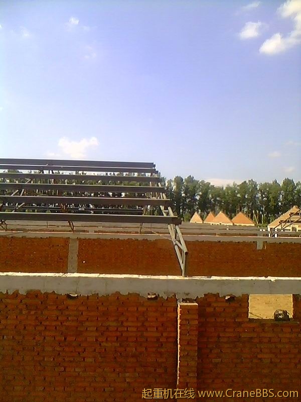 IMG1529A.jpg