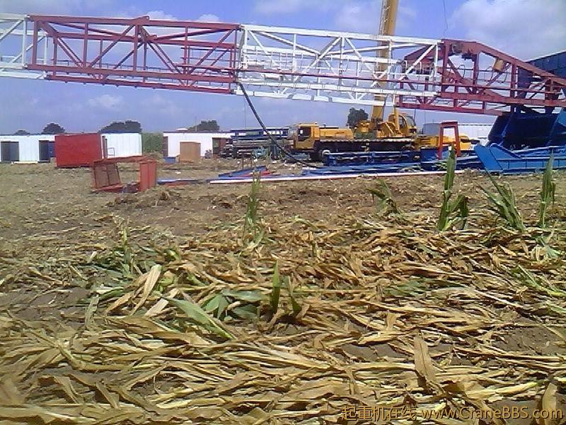 IMG1415A.jpg