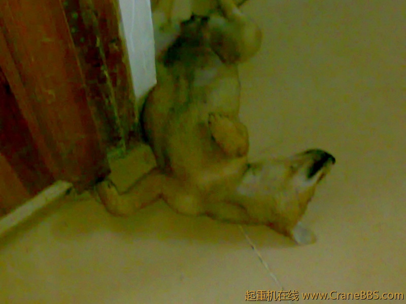 20110921171.jpg
