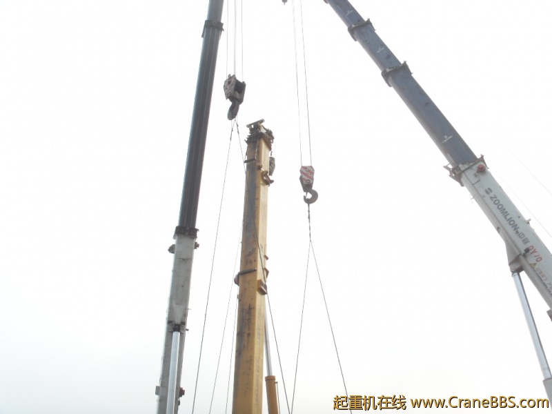 SDC12783.JPG