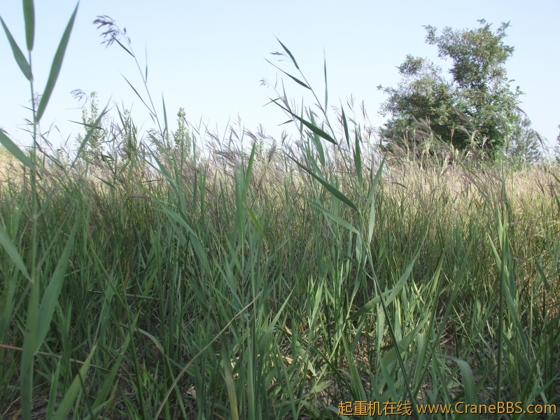 DSCF1220.JPG