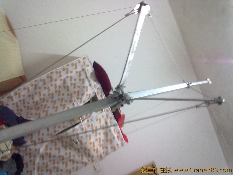 20110831258.jpg