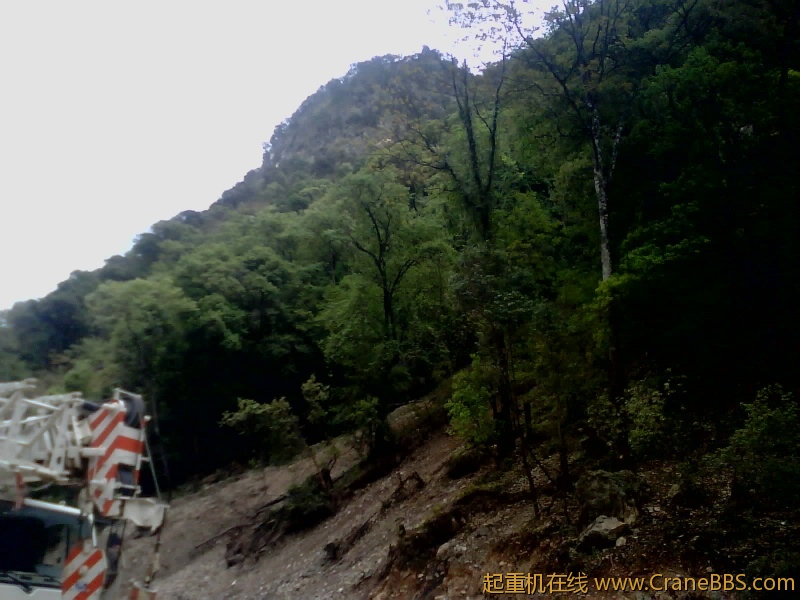 IMG0243A.jpg