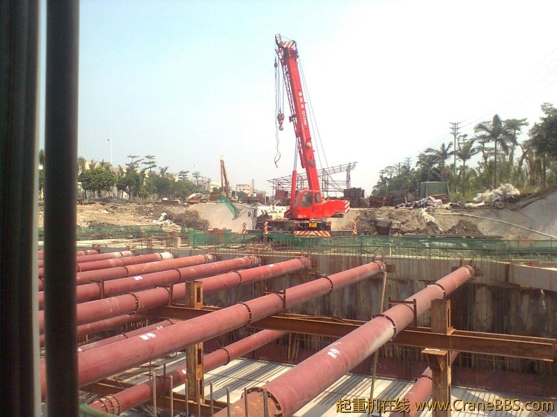 图像1100.jpg
