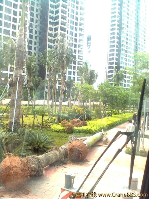 图像1216.jpg