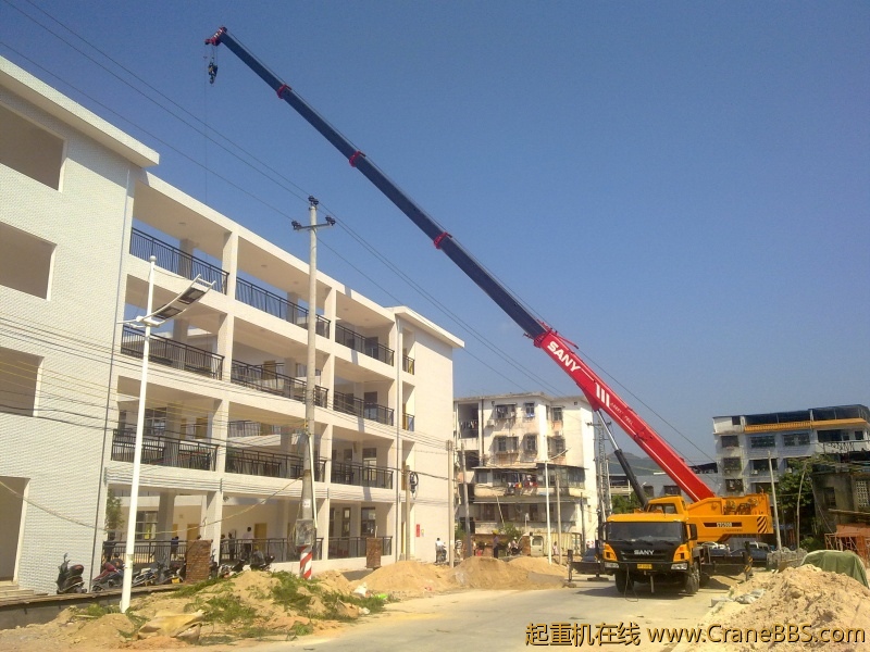 吊两棵树进学校