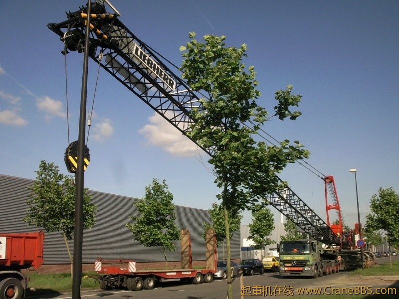 Herschaalde kopie van Foto049.jpg