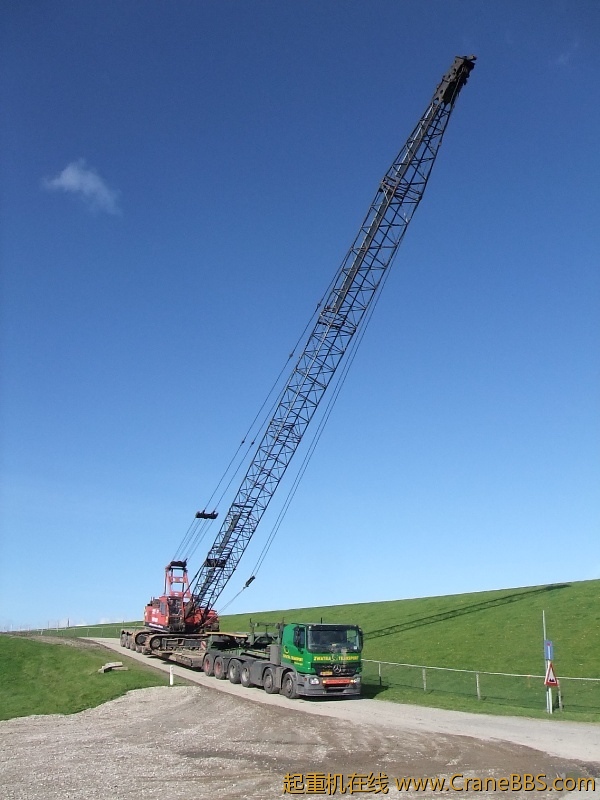 Herschaalde kopie van DSCF0214.jpg