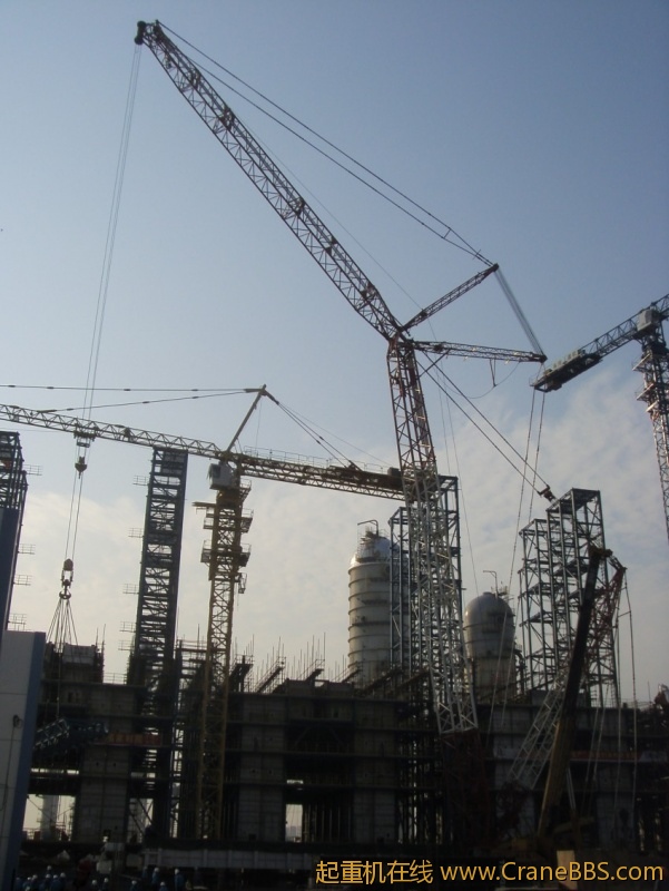 S73F3057_conew1.JPG