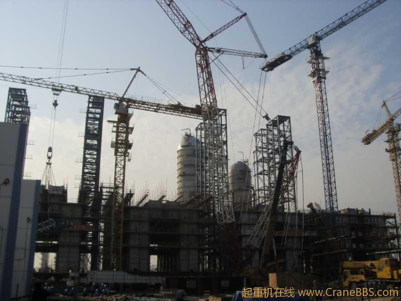 S73F3058_conew1.JPG