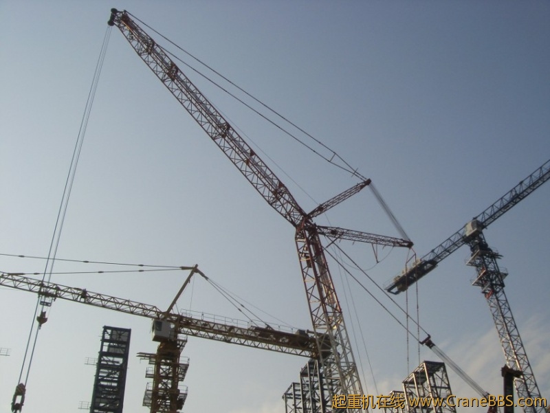 S73F3054_conew1.JPG