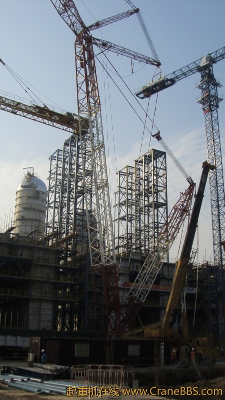 S73F3055_conew1.JPG