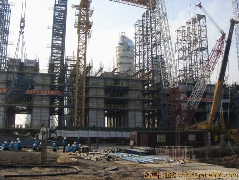 S73F3056_conew1.JPG