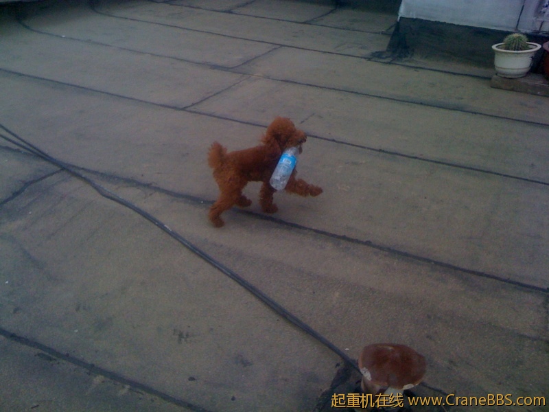 手机照片 4293.jpg