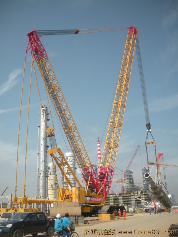 DSCN7254_conew1.JPG