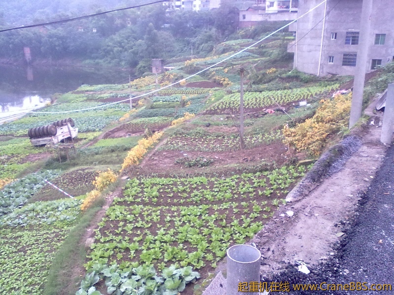 照片 003.jpg