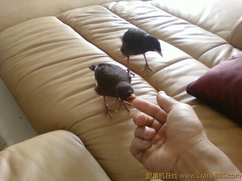 照片-0295.jpg