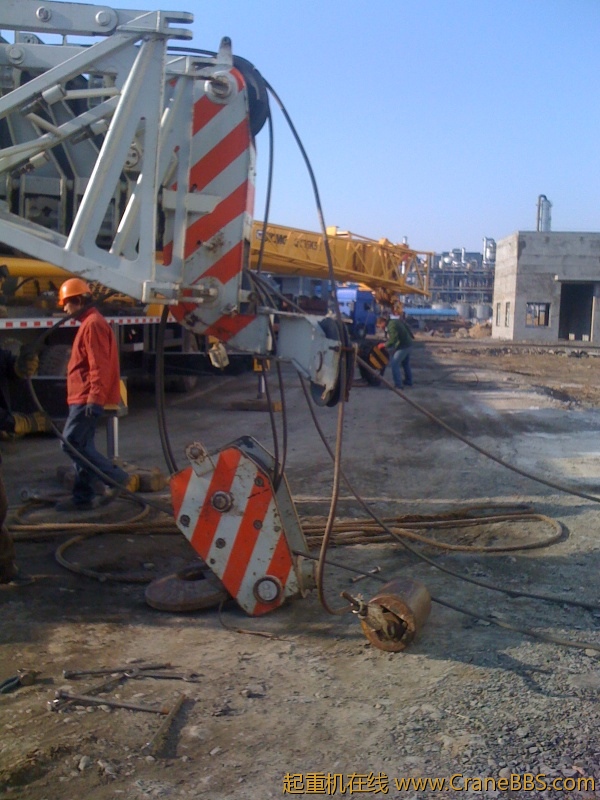 手机照片 5611.jpg