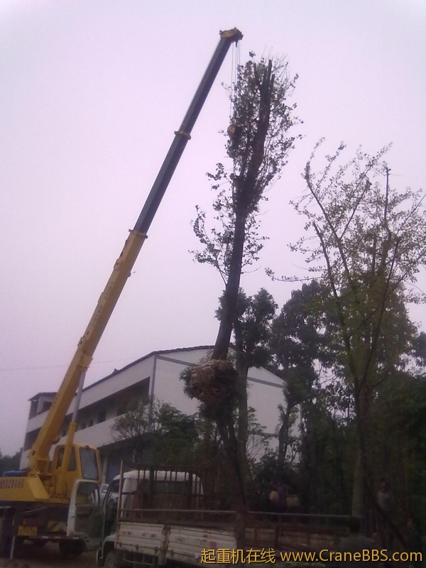 201110211097.jpg