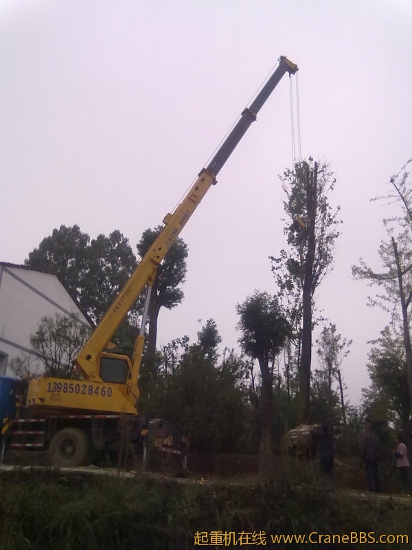 201110211098.jpg