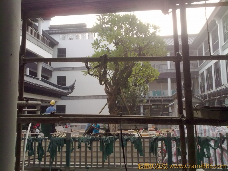201110281139.jpg